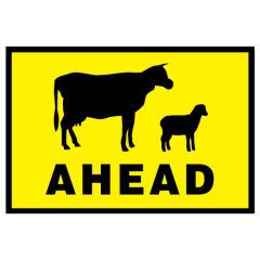 Stock Ahead (Sheep & Cattle Picto + Ahead Text), 900 x 600mm Boxed Edge, Metal Class 1 Reflective