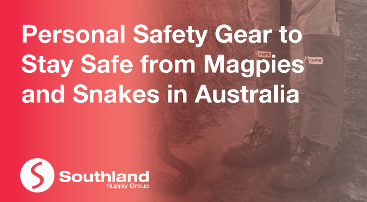 Personal Safety Gear to Stay Safe from Magpies and Snakes in Australia 